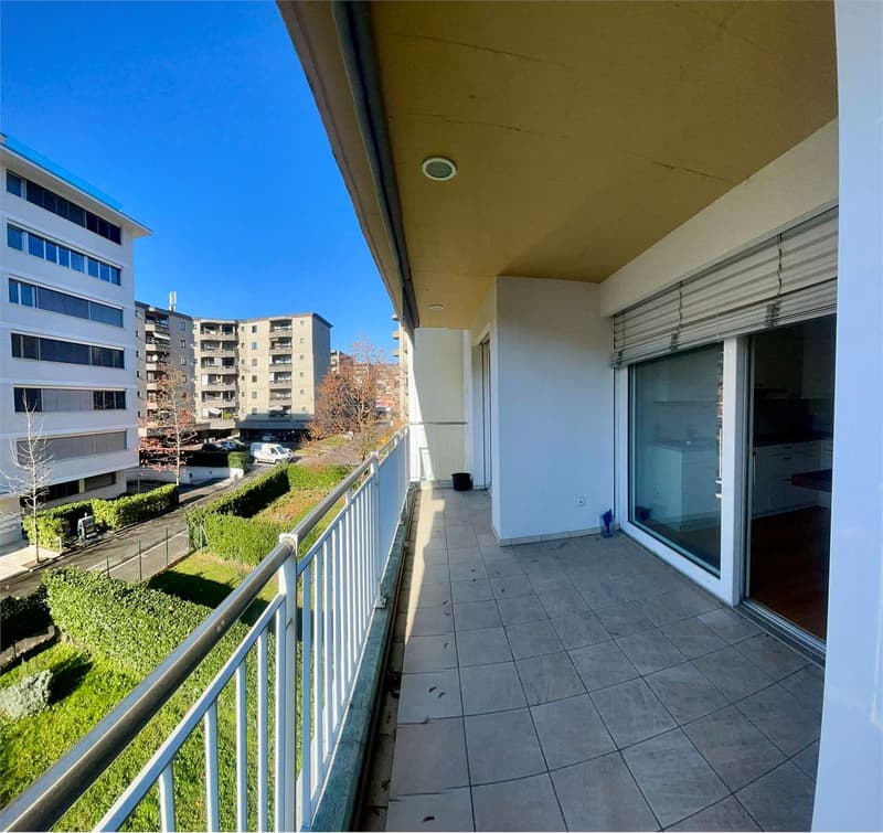 Spacious and bright 2.5-room apartment with large terrace (12)