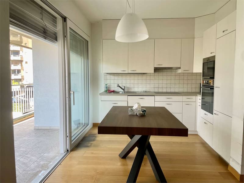 Spacious and bright 2.5-room apartment with large terrace (2)
