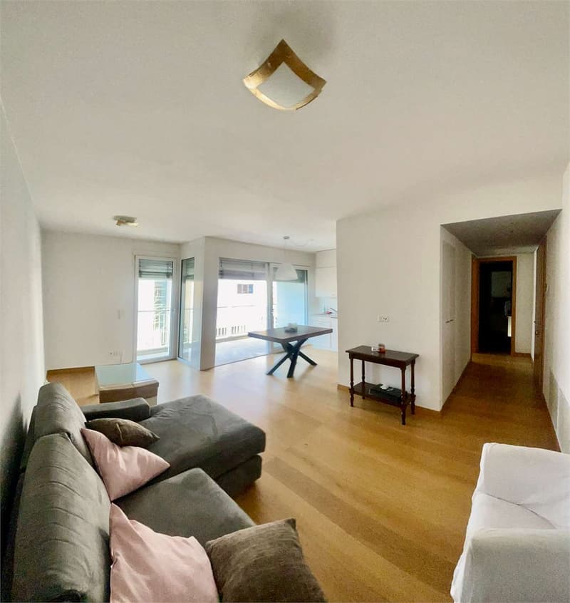 Spacious and bright 2.5-room apartment with large terrace (1)