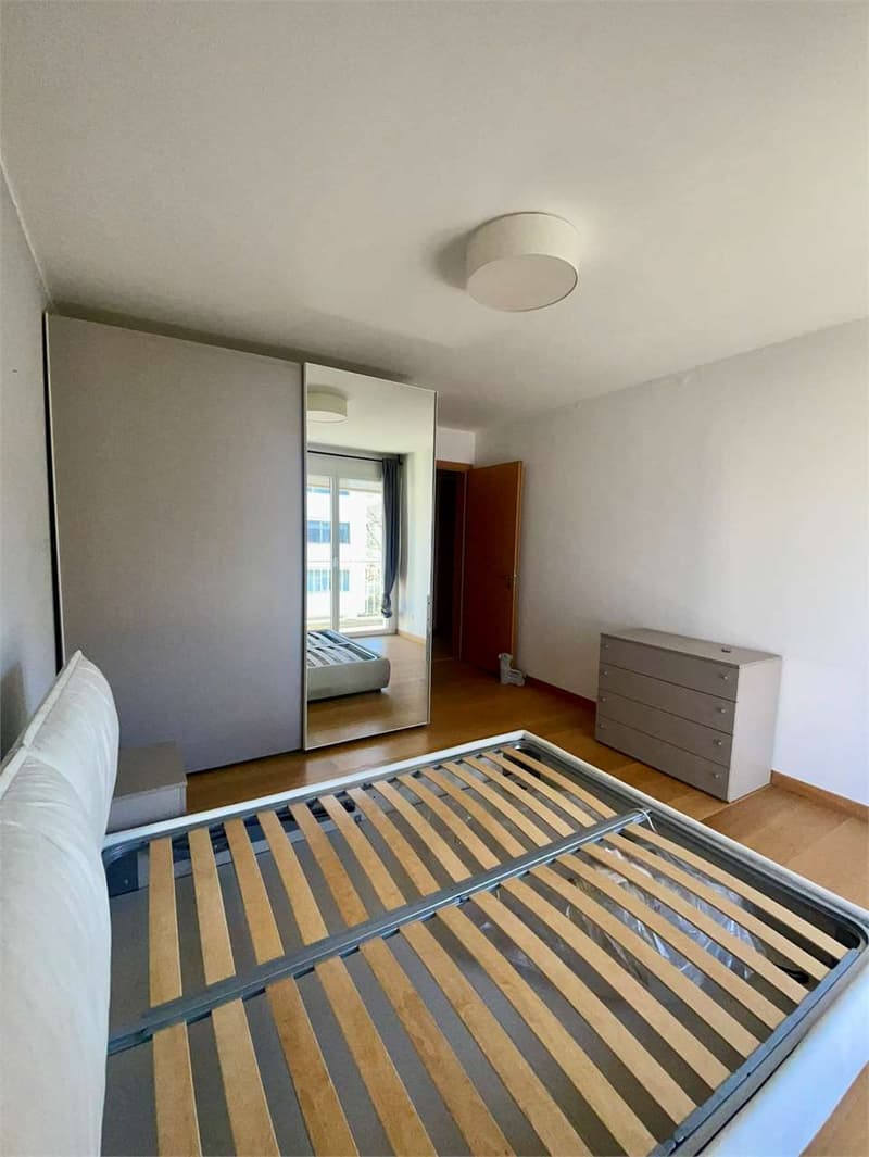 Spacious and bright 2.5-room apartment with large terrace (8)