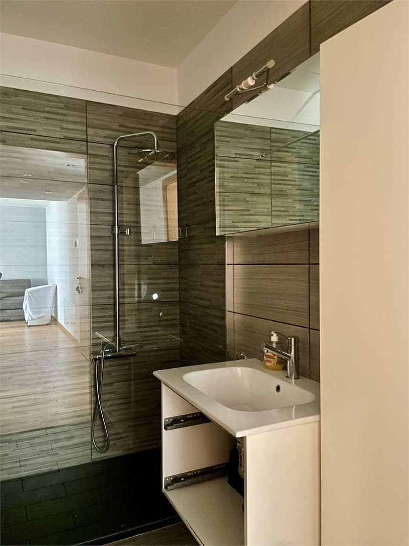Spacious and bright 2.5-room apartment with large terrace (10)