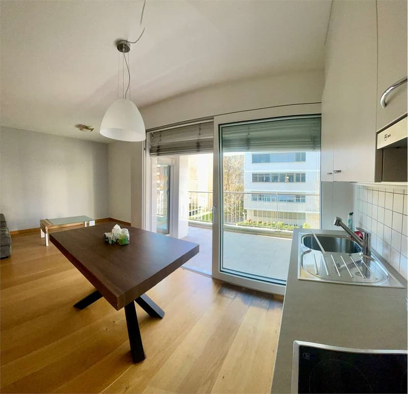 Spacious and bright 2.5-room apartment with large terrace (5)
