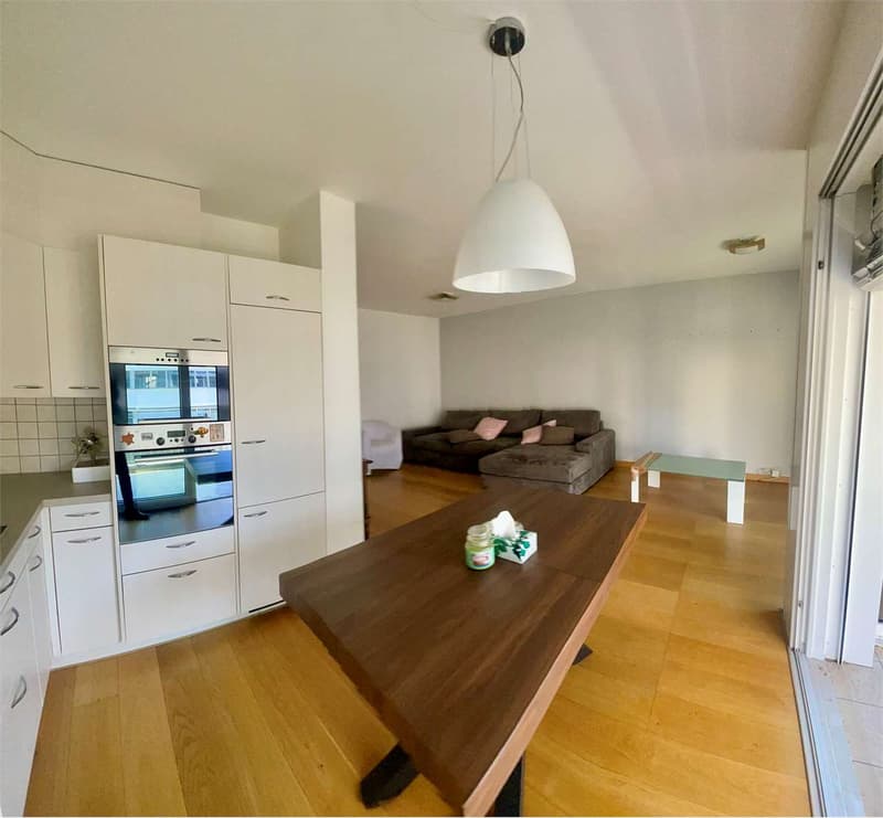 Spacious and bright 2.5-room apartment with large terrace (6)
