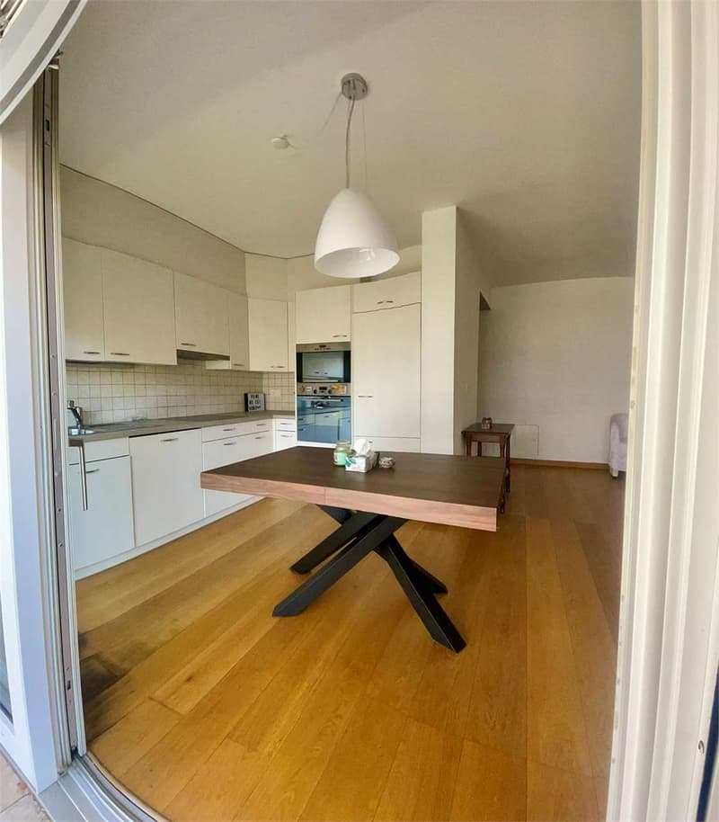 Spacious and bright 2.5-room apartment with large terrace (4)