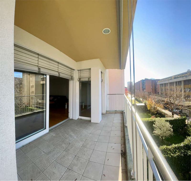Spacious and bright 2.5-room apartment with large terrace (13)