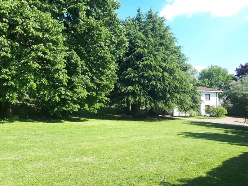 Exclusive property immersed in the nature of Brianza lecchese - Mera (10)