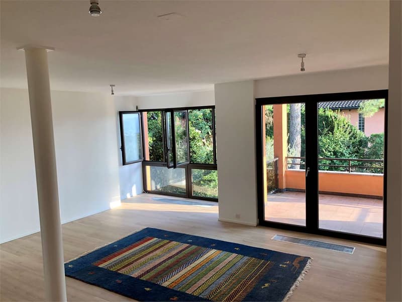 Pregassona - Splendida villa Bifamiliare (9)