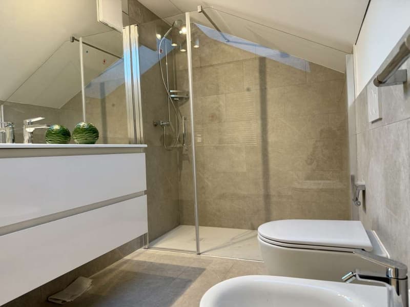 Penthouse complètement rénové à Bellinzona (13)