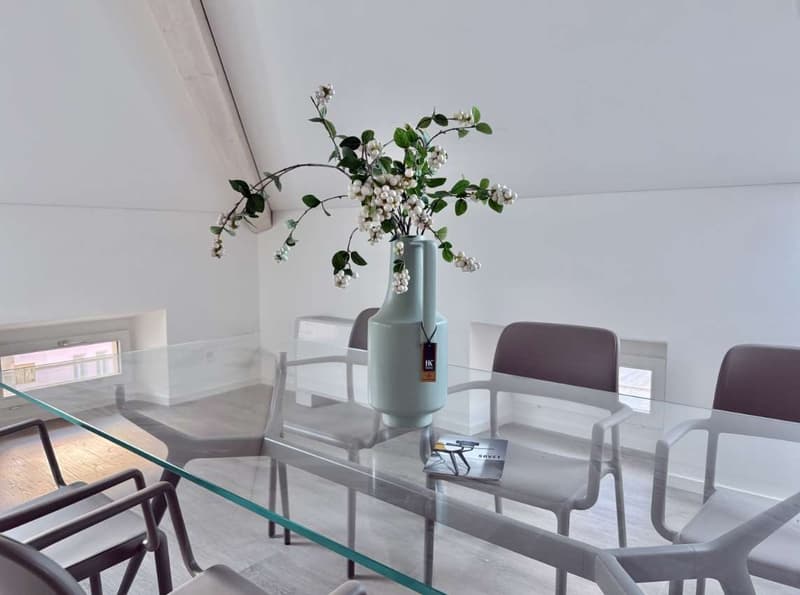 Penthouse complètement rénové à Bellinzona (5)