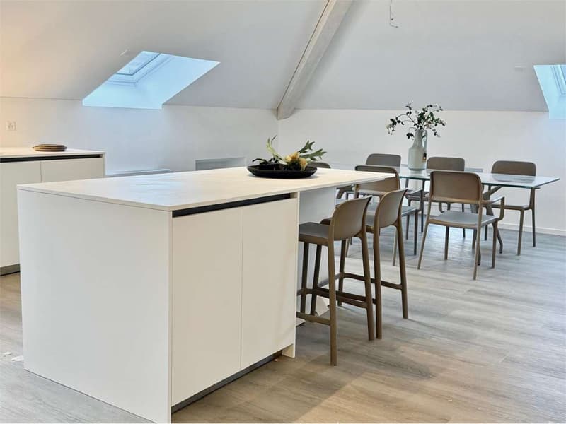 Penthouse complètement rénové à Bellinzona (6)