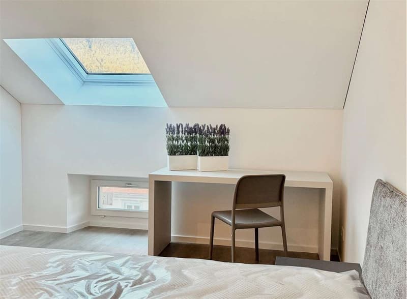 Penthouse complètement rénové à Bellinzona (7)