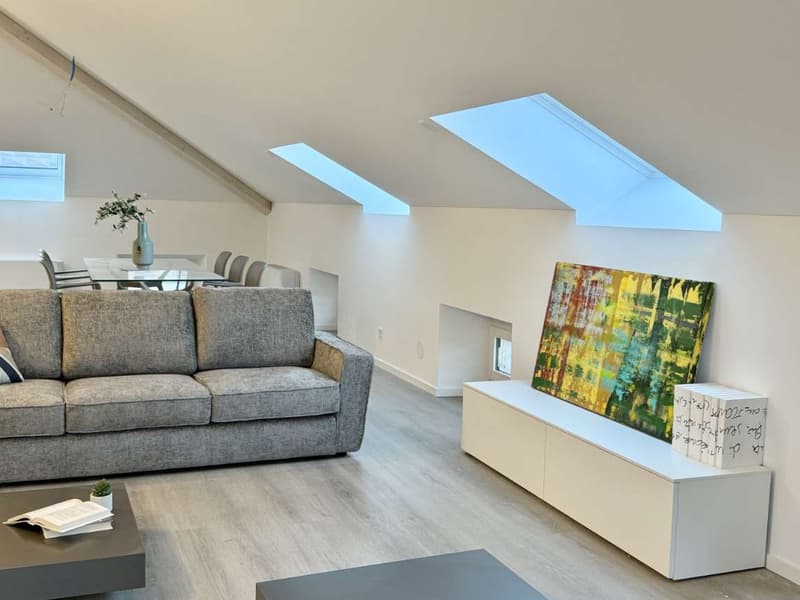 Penthouse complètement rénové à Bellinzona (10)