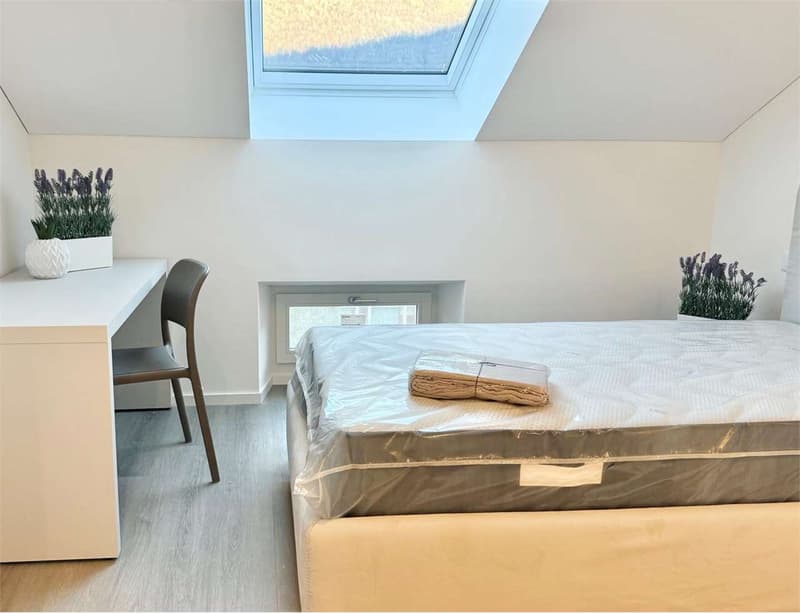 Penthouse complètement rénové à Bellinzona (8)