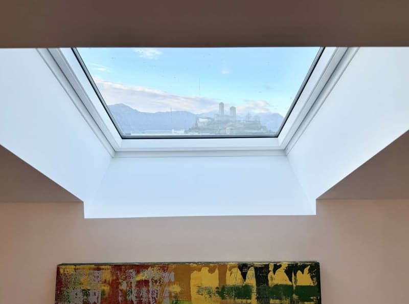 Penthouse complètement rénové à Bellinzona (12)