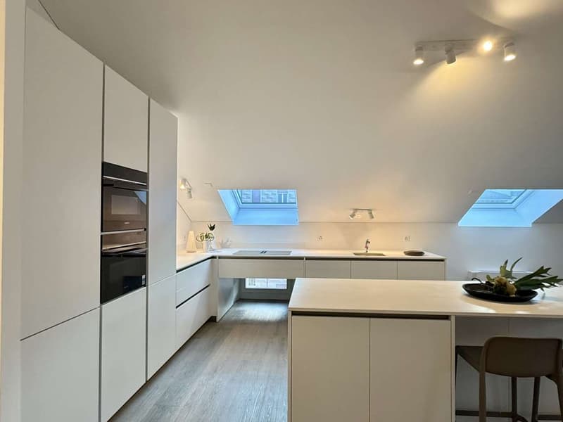 Penthouse complètement rénové à Bellinzona (9)