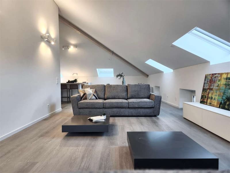 Penthouse complètement rénové à Bellinzona (3)