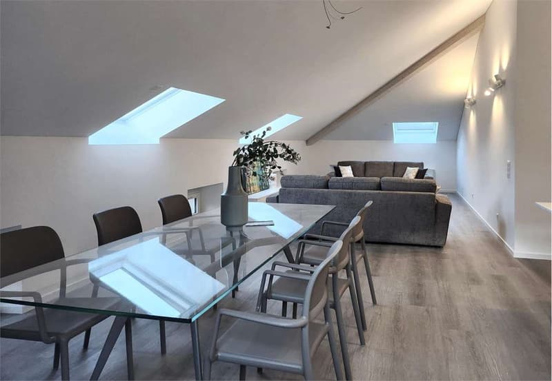 Penthouse complètement rénové à Bellinzona (4)