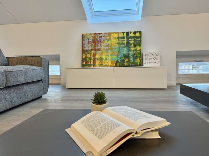 Vollständig renoviertes Dachgeschoss in Bellinzona (1)