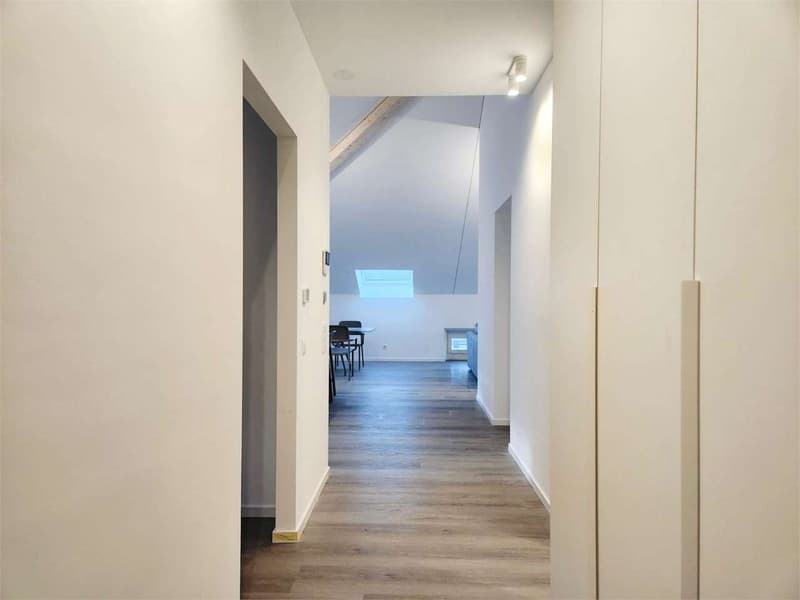 Vollständig renoviertes Dachgeschoss in Bellinzona (2)