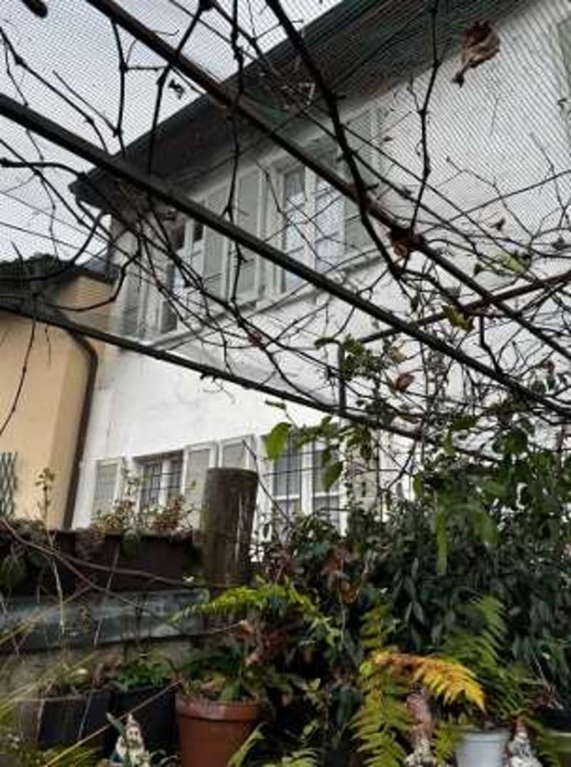 Capolago - Palazzina di nucleo da ristrutturare con corte privata, ter (3)