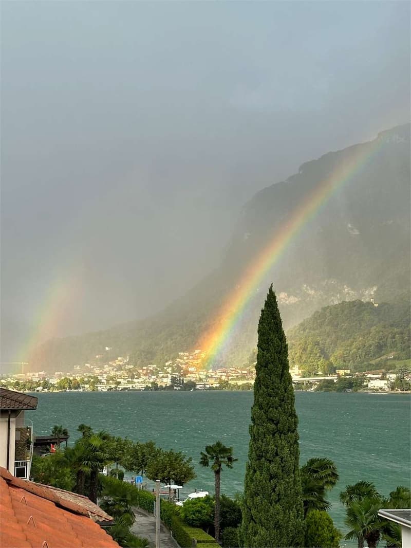 RIVA SAN VITALE - DUE APPARTAMENTI DIRETTAMENTE A LAGO (3)