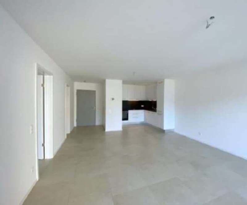 Nuovo e luminoso appartamento 2.5 locali con grande terrazzo in affitt (2)