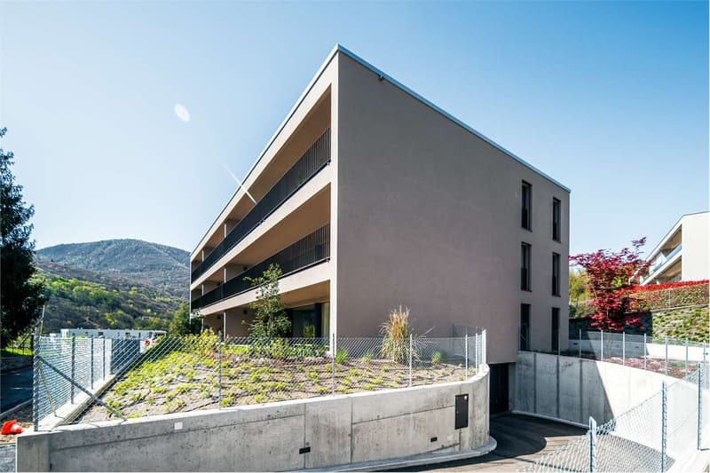 Luminoso 3.5 locali con Giardino privato - Monteggio (1)