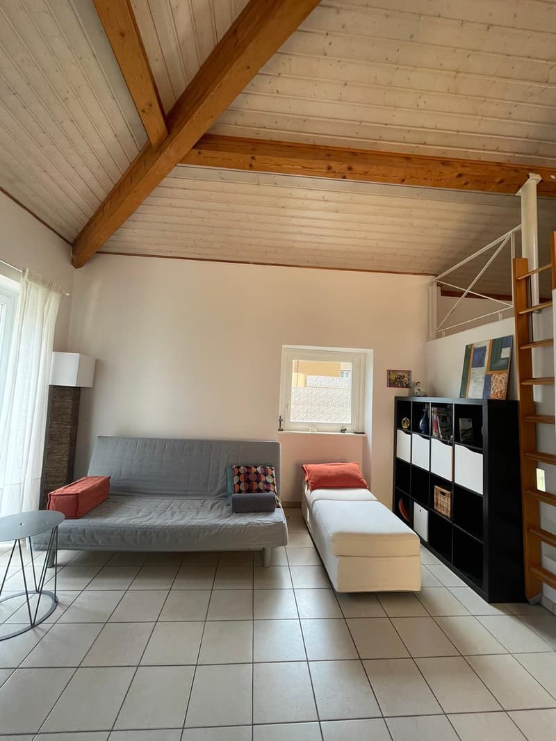 Casa bifamiliare nel cuore di Mendrisio – Ottimo investimento (3)