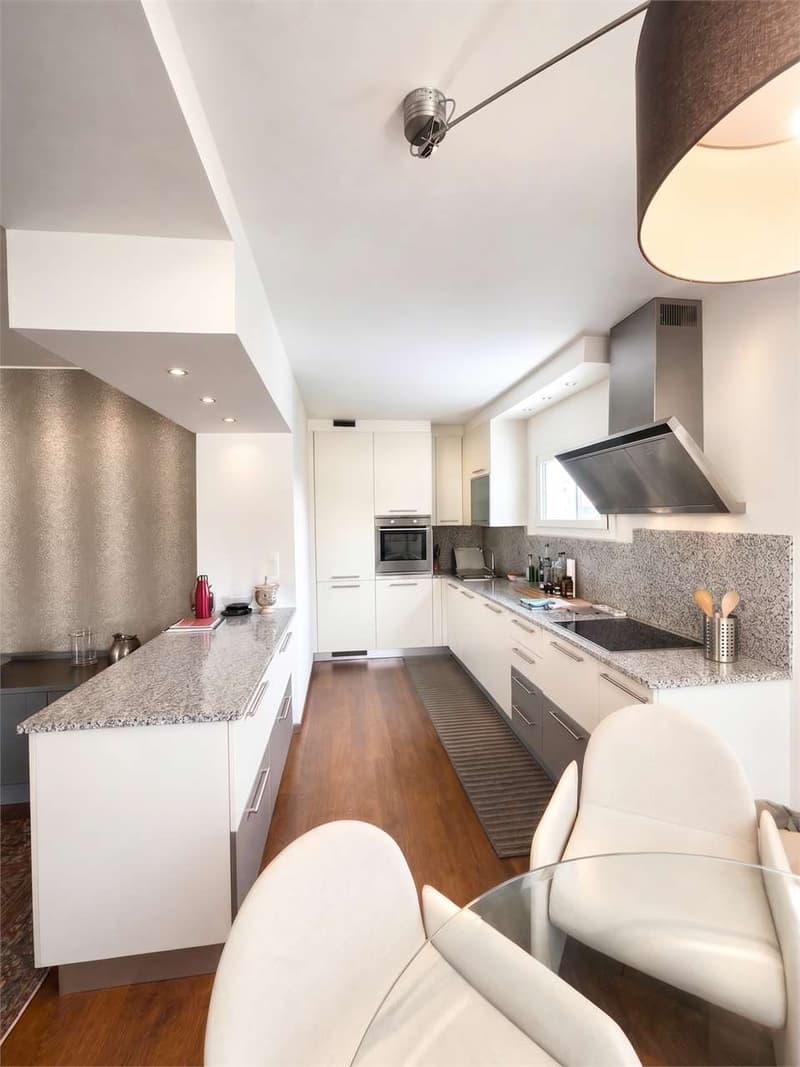 Esclusivo 4.5 locali con terrazza panoramica - Pregassona (2)