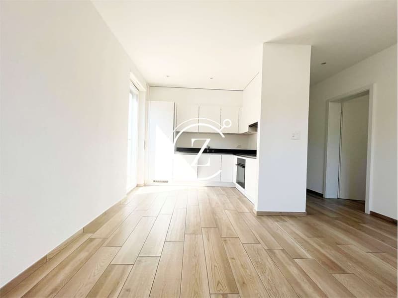 Appartamento 2.5 completamente ristrutturato con vista lago a Lugano (1)