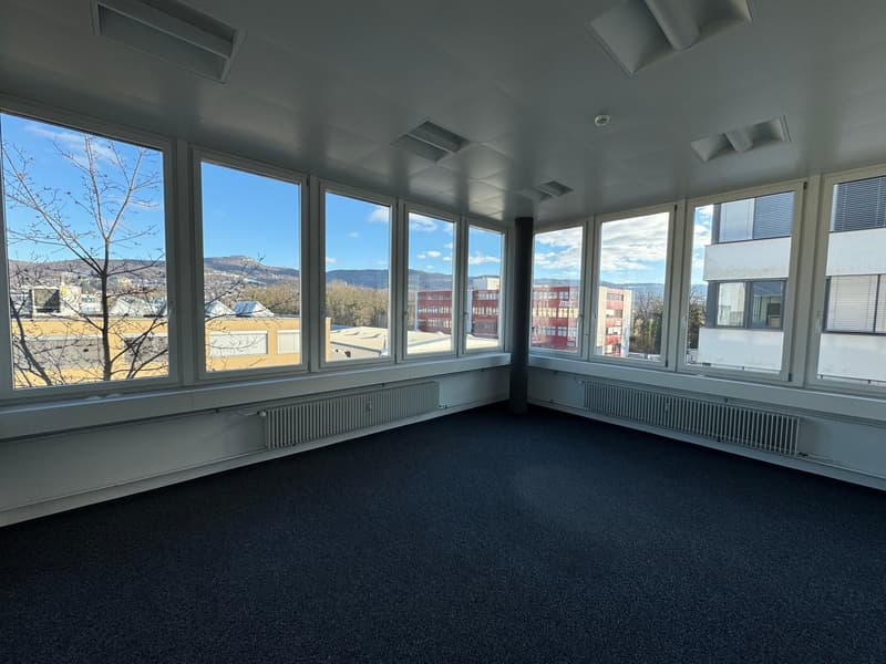 empty room with large windows, radiators, carpeted floor