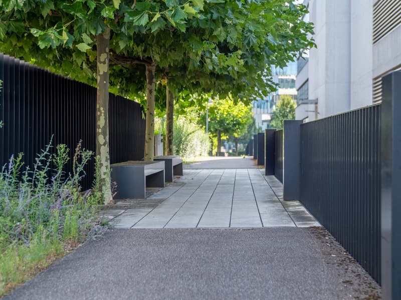 Pathway, benches, trees, black fence, urban setting