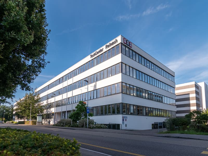 Office building, 4 stories, white exterior, large windows, greenery and trees around, clear blue sky