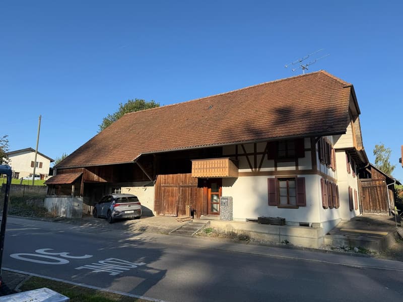Charming farmhouse with garage and large garden in Mühledorf SO (5)