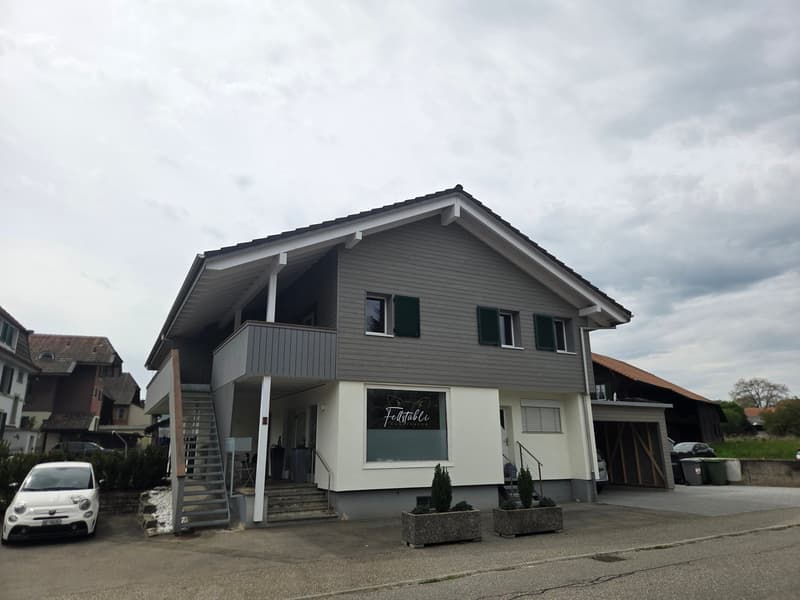 Unique multi-family house with two apartments and commercial space (7)