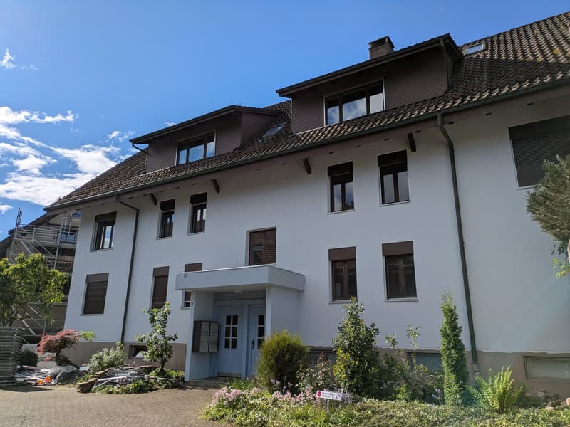 Charming 3-room apartment with community pool/sauna and garage in Dotzigen (2)