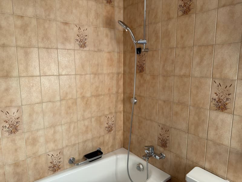 Charming 3-room apartment with community pool/sauna and garage in Dotzigen (12)