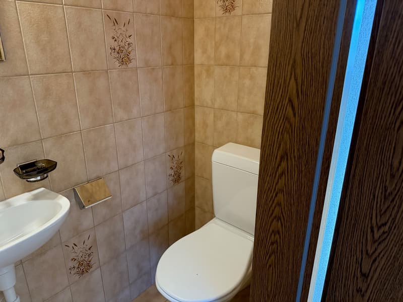 Charming 3-room apartment with community pool/sauna and garage in Dotzigen (13)