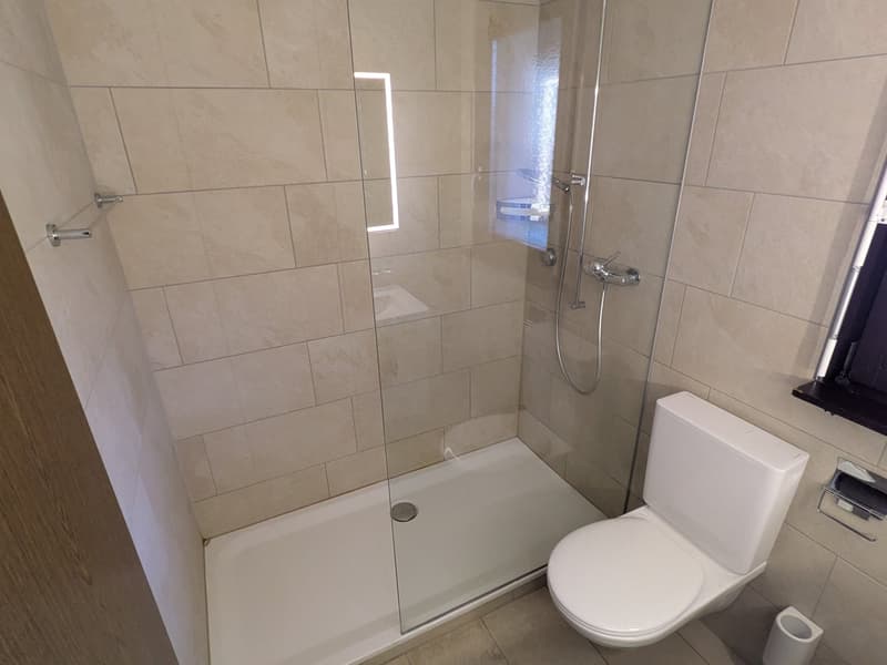 Charmante renovierte 4-Zimmer-Wohnung mit Gemeinschaftspool/Sauna und Garage in Dotzigen (7)