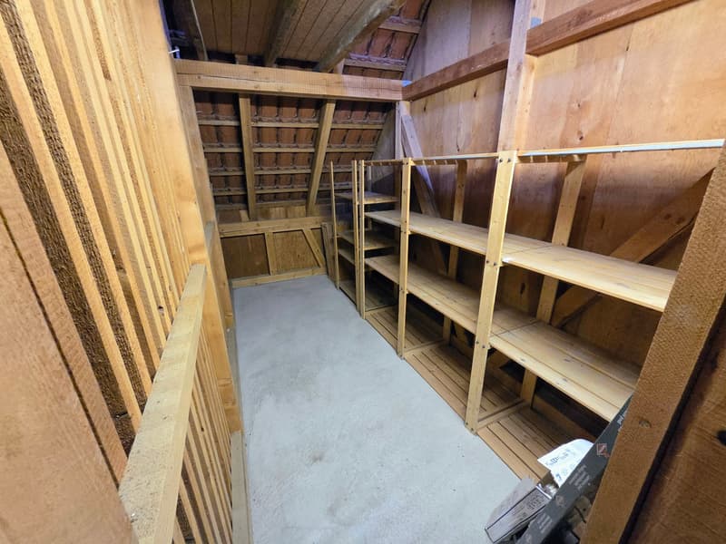 Charmante renovierte 4-Zimmer-Wohnung mit Gemeinschaftspool/Sauna und Garage in Dotzigen (15)