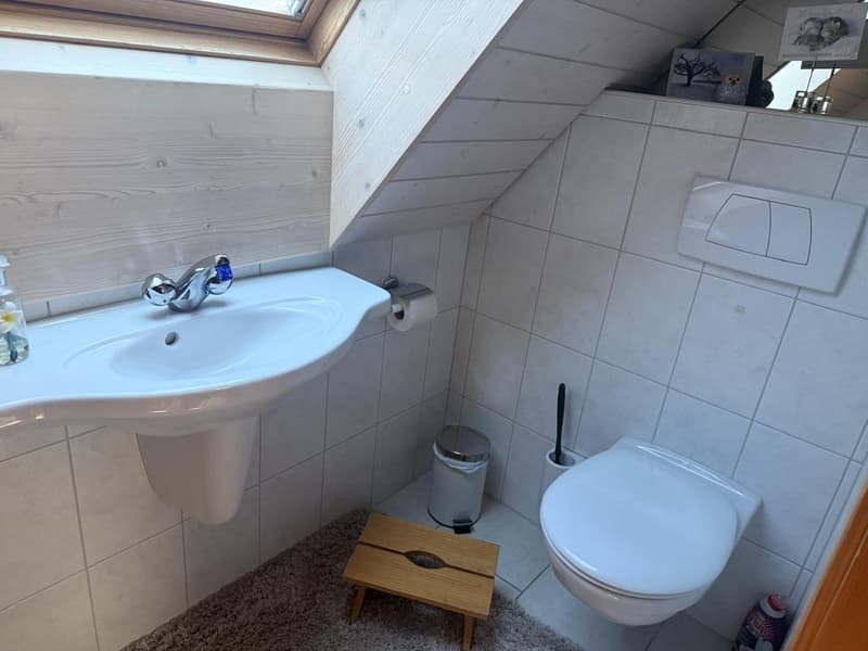 WC DG