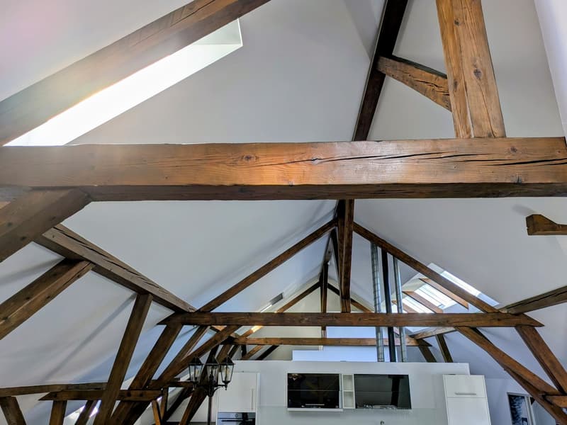Einzigartiges Loft in historischem Gebäude in Hindelbank 227m2 inkl. 2 EH Plätze (6)