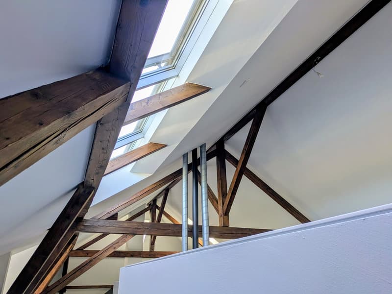 Einzigartiges Loft in historischem Gebäude in Hindelbank 227m2 inkl. 2 EH Plätze (16)