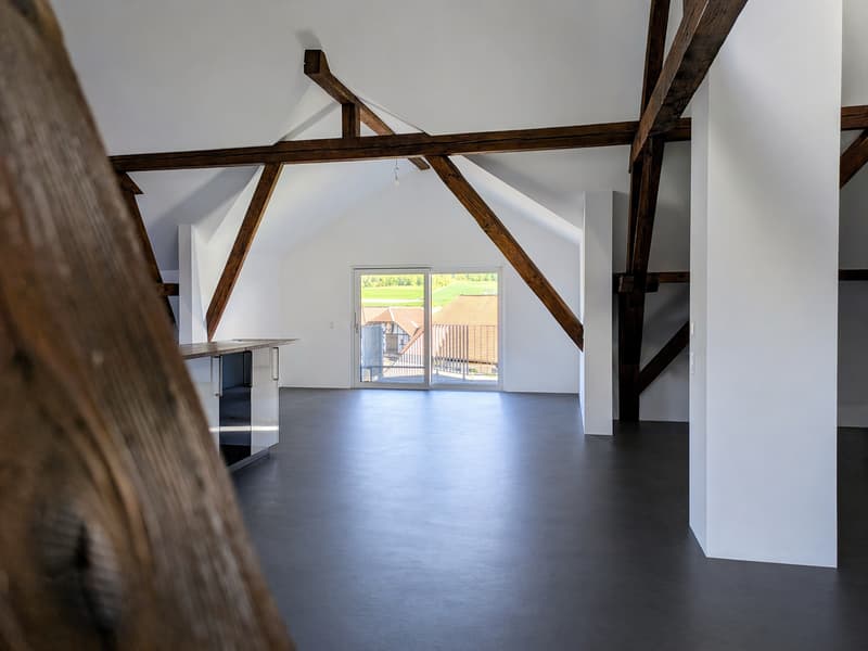 Einzigartiges Loft in historischem Gebäude in Hindelbank 227m2 inkl. 2 EH Plätze (9)