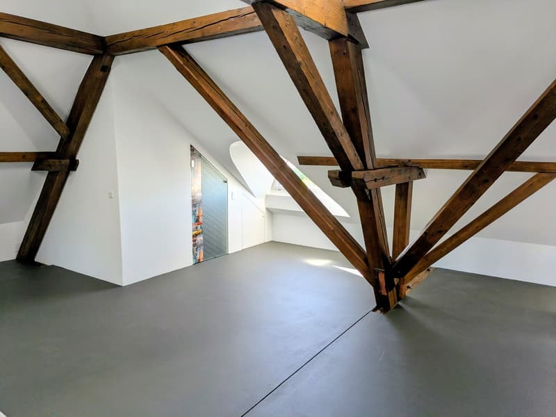 Einzigartiges Loft in historischem Gebäude in Hindelbank 227m2 inkl. 2 EH Plätze (15)