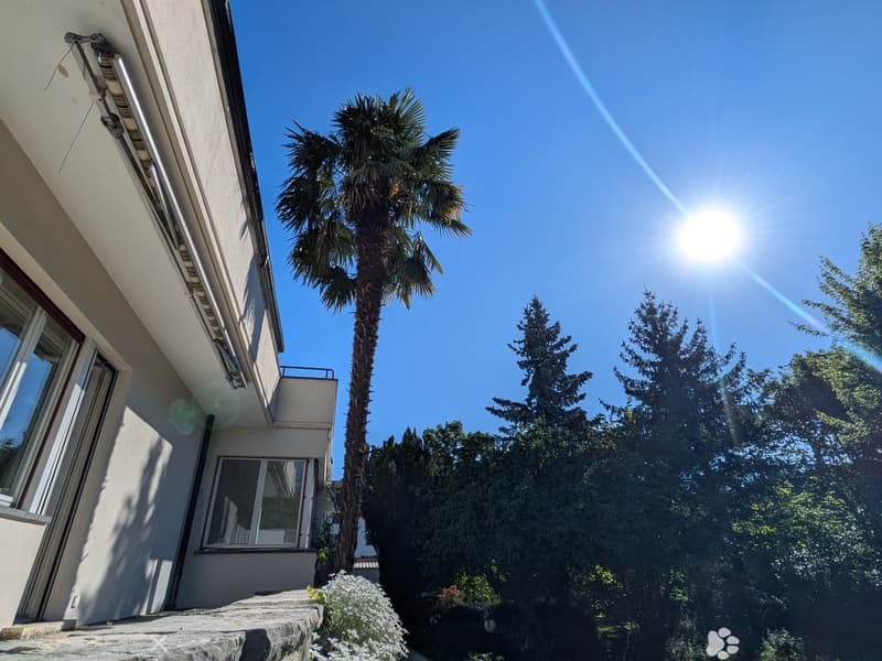 Charmantes Einfamilienhaus in Biel mit grossem Garten, Sauna und Whirlpool (2)