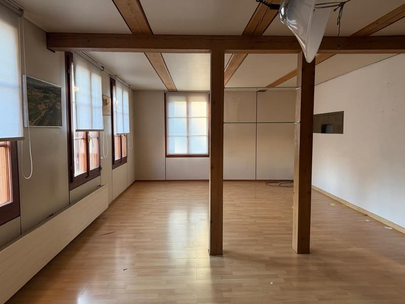Charmantes Bauernhaus mit Garage und grossem Garten in Mühledorf SO (13)