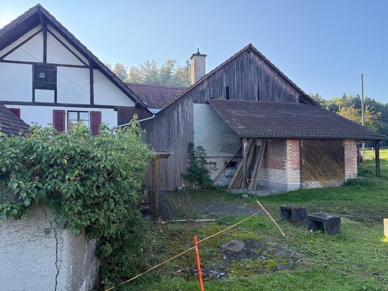 Charmantes Bauernhaus mit Garage und grossem Garten in Mühledorf SO (10)