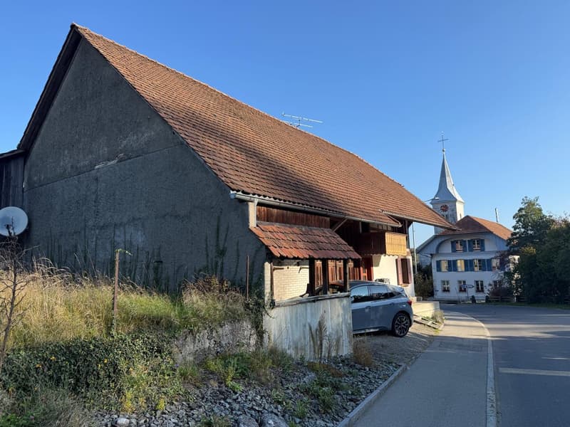 Charmantes Bauernhaus mit Garage und grossem Garten in Mühledorf SO (26)