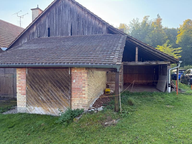 Charmantes Bauernhaus mit Garage und grossem Garten in Mühledorf SO (9)